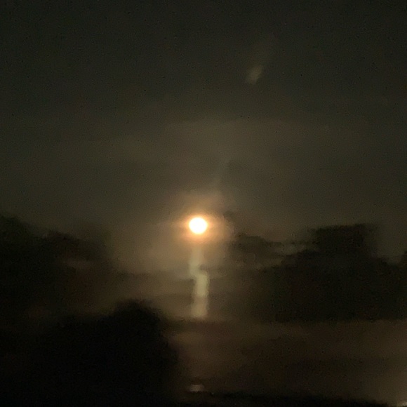 Profile Picture of Liliana Cruciata (@ohhyeahhh) on Poshmark