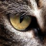 Profile Picture of Alexander Kazakov (@VolandKOT) on Youtube