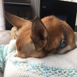 Profile Picture of Josephine Gunning (@joey.gunning) on Instagram