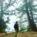 Profile Picture of Royce Stephens (@roycestephens123) on Instagram