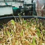 Profile Picture of Neil Saha (@neilsaha5) on Instagram