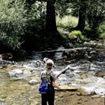 Profile Picture of Andrew Myrick (@drewhd53_) on Instagram