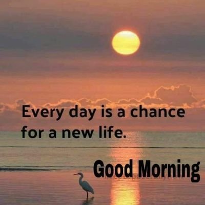 Profile Picture of Chandan Chatterjee (@Chandan07683784) on Twitter