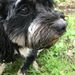 Profile Picture of Ruby Britton (@rubybritton121) on Pinterest