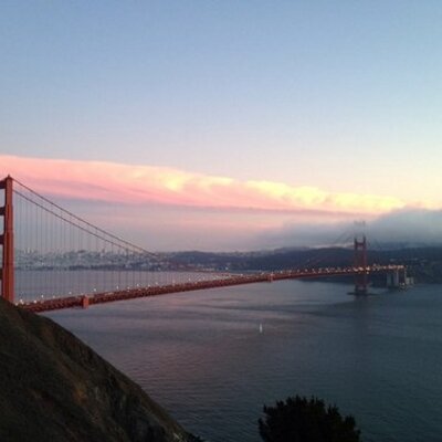 Profile Picture of Amir Pourmousa (@amirpourmousa) on Twitter