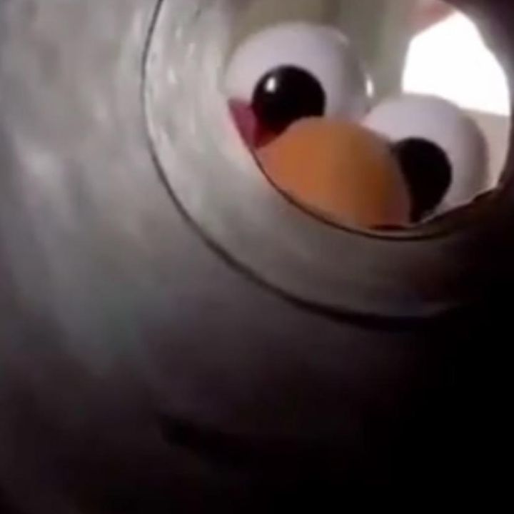 Profile Picture of Michael Michaca (@michaelmichaca) on Tiktok