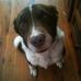 Profile Picture of Mark Kinnear (@mark.kinnear.505) on Facebook