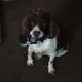Profile Picture of Mark Trask (@mark.trask.169) on Facebook