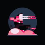 Profile Picture of Marco Mancuso (@gustavoduremix) on Instagram