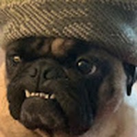 Profile Picture of Daniel Merino (@daniel-merino-47) on Quora