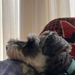 Profile Picture of Matthew Garner (@m_garner18) on Instagram