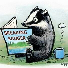 Bad Badger - Twitter Profile Picture of Bad Badger (@Mustelus20) on Twitter
