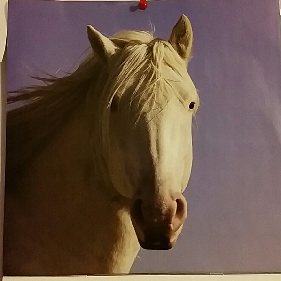 Profile Picture of Sheila Reid (@sheilareid61) on Poshmark