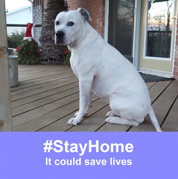 Profile Picture of Donna Vandenbussche (@d_vandenbussche) on Poshmark