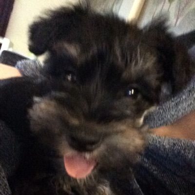 Profile Picture of ike Steele (@ikeysteele) on Tiktok