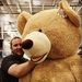 Profile Picture of Travis Sapp (@travisendersgam) on Pinterest