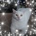 Profile Picture of Roberta Sharp Barlow (@roberta.sharpbarlow) on Facebook