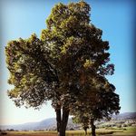 Martine Carcani Ansermet - Instagram Profile Picture of Martine Carcani Ansermet (@martanser) on Instagram