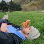 Profile Picture of Andrew Murphy (@an.drewmurph.y) on Instagram