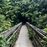 Profile Picture of Andrew Dwyer (@not.andrew.dwyer) on Instagram