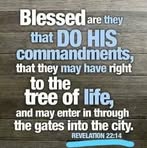 Profile Picture of Drew Boyer (@Drew-Boyer) on Facebook