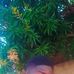 Profile Picture of David Kwashi (@David-Kwashi) on Facebook