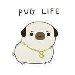 Profile Picture of Tara Mockovq (@tara_mockova) on Instagram