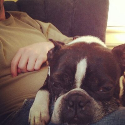Profile Picture of Dan Aber (@bearrph) on Twitter