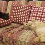 Profile Picture of 項文緯 (@項文緯) on Facebook