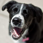 Profile Picture of Paul O'rourke (@paul m o'rourke) on Flickr