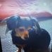Profile Picture of Robin Sumner (@robin.sumner.904) on Facebook
