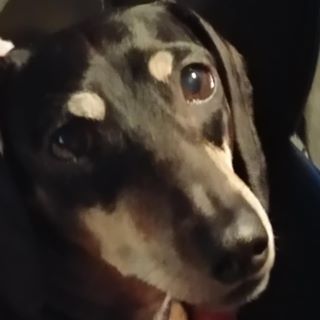 Profile Picture of Erick Blasl (@erick.blasl) on Facebook