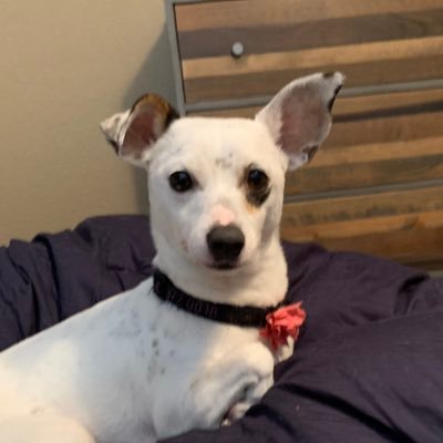 Profile Picture of Shelley Prather (@shelley_prather) on Twitter