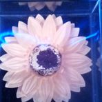 Meagan Eichenberger Nicoletti - Facebook Profile Picture of Meagan Eichenberger Nicoletti (@Meagan-Eichenberger-Nicoletti) on Facebook