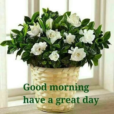 Profile Picture of Tasnim Akhtar (@TasnimAkhtar14) on Twitter