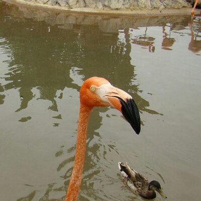 Profile Picture of Jonah Cannon (@Jonah_P_Cannon) on Twitter