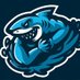Profile Picture of Sharp-Shark (@CarlosD84966668) on Twitter