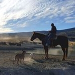 Profile Picture of Tina Mudd (@ukrainian_gypsy) on Instagram