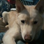 Profile Picture of Jeffrey (@jeffdurst50) on Instagram
