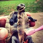 Profile Picture of James Mulford (@mulford_james) on Instagram