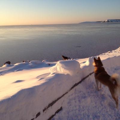 Profile Picture of C Knott (@CMarnellK) on Twitter
