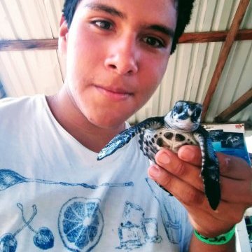 Profile Picture of Caleb Gutiérrez Rivera (@caleb_gutierrez) on Twitter