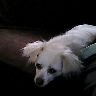 Profile Picture of Pat Tompkins (@pat_tompkins) on Twitter