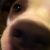 Profile Picture of Holly Patnode (@hollypatnode) on Pinterest