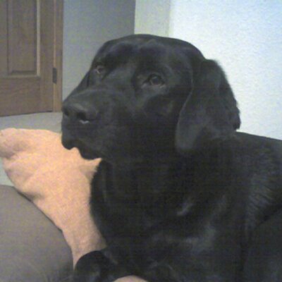 Profile Picture of Mike McMeekin (@BHArcher) on Twitter