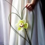 Profile Picture of Amal Abosife (@amal.alfghi.5) on Facebook