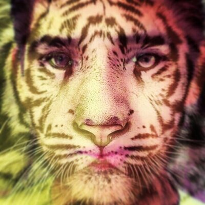 Profile Picture of Luis Cuellar (@luiscuellar348) on Twitter
