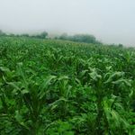 Profile Picture of Felix Zamarron (@felixzamarron) on Instagram