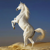 Profile Picture of VIRAJ DAVE (@virajdave1532) on Youtube