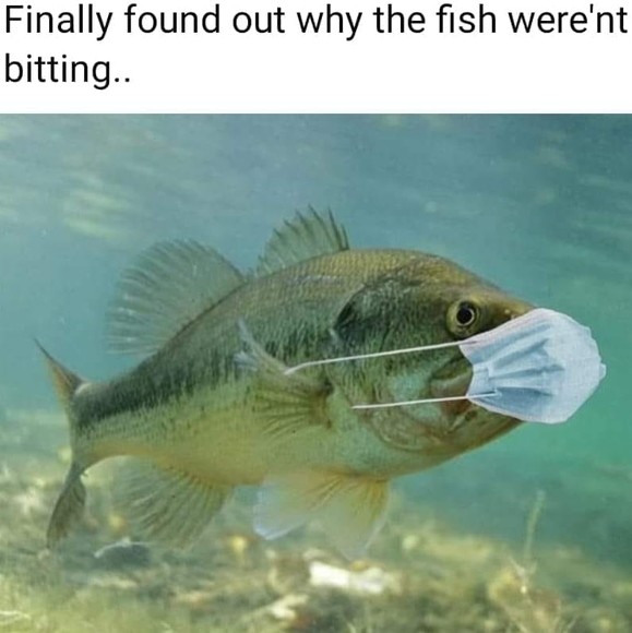 Profile Picture of David Godejohn (@foser2006) on Poshmark